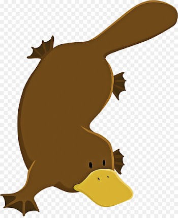 cartoon platypus beaver monotreme clip art