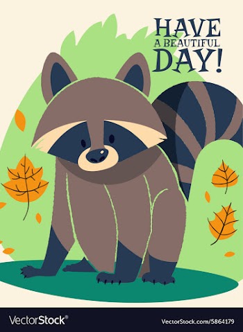 Cartoon raccoon design vector image