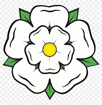 Cartoon Rose 20, - Yorkshire Rose