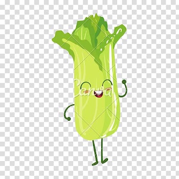 Cartoon Salad Vegetable Lettuce, lettuce transparent background PNG clipart
