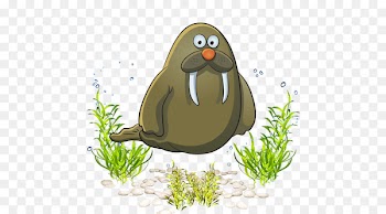 Cartoon Sea Clip art - Sea World marine life sea lion cartoon 