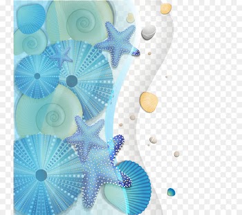 Cartoon Sea - Vector sea seashells 