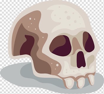 Cartoon skull transparent background PNG clipart