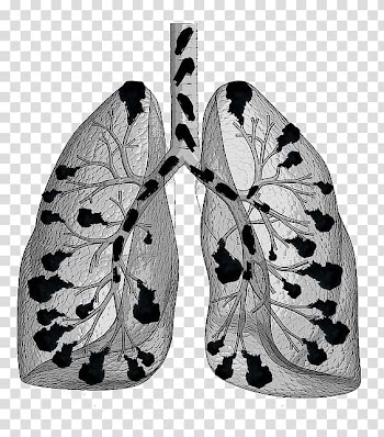Cartoon smoking lungs transparent background PNG clipart