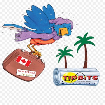 Cartoon Snowbird Clip art Image Drawing - snowbird cartoon 