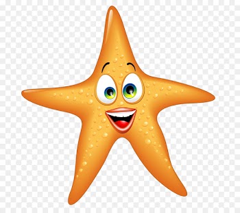 Cartoon Starfish Illustration - starfish 