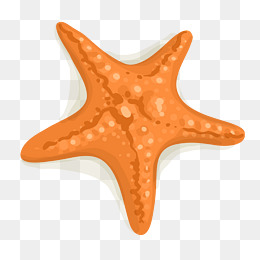 Cartoon Starfish Png, Vector, PSD, and Clipart With Transparent ...