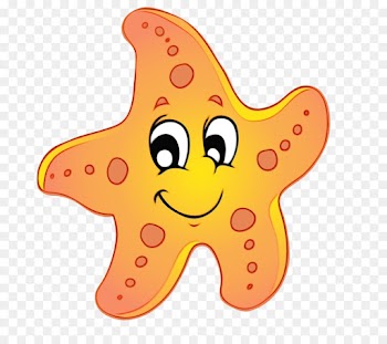 cartoon starfish star marine invertebrates