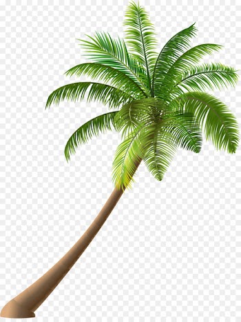 Cartoon Summer Royalty-free Illustration - Green simple coconut trees 