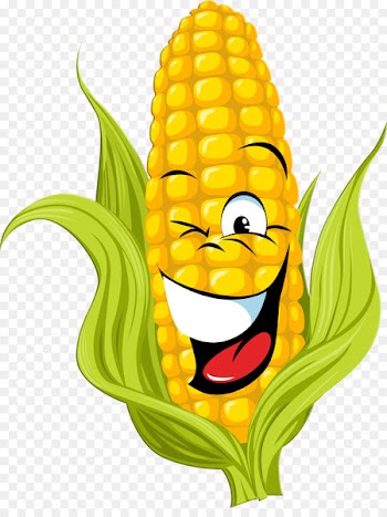 Cartoon Sweet corn - sweet corn 