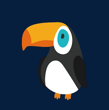 Cartoon Toucan, Cartoon Vector, Cute Toucan, Toucan PNG and Vector ...