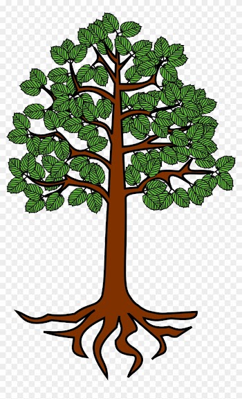 Cartoon Tree Picture 27, - Tree With Roots Clipart