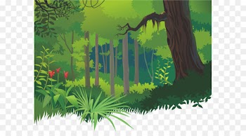 Cartoon tropical forests 