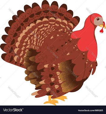 Cartoon Turkey Bird2 vector image
