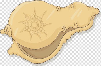 Cartoon Watercolor painting Seashell, shell transparent background PNG clipart