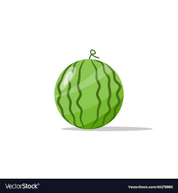 cartoon watermelon fruit