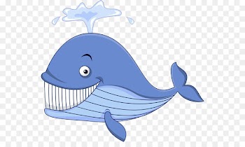 Cartoon Whale Illustration - Whale's gaze 