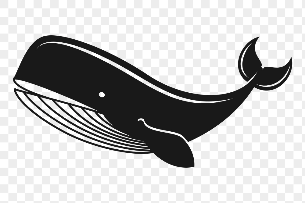 Cartoon whale png sticker, sea | Free PNG - rawpixel