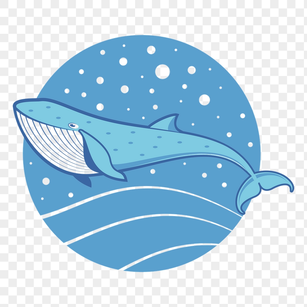 Cartoon whale png sticker, sea | Free PNG - rawpixel