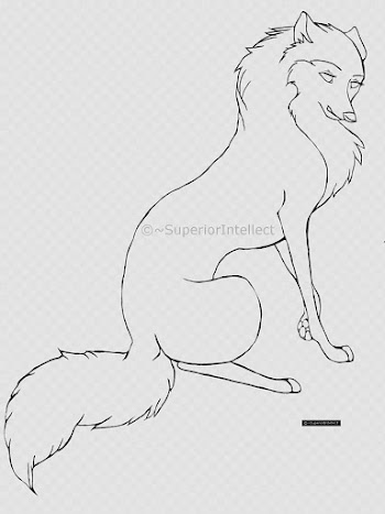 Cartoon wolf or dog line art, wolf sketch transparent background PNG clipart
