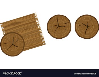 Cartoon woodgrain and wood rings vector image