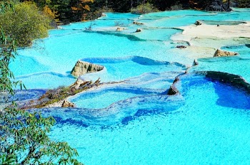 Cascading Lagoon Surrounded With Trees