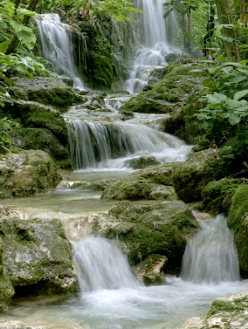 Cascading Waterfall in Lush Tropical Forest