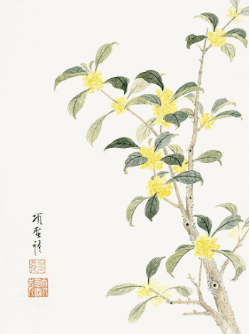 Cassia blossom (1656) vintage Chinese | Free Photo Illustration - rawpixel