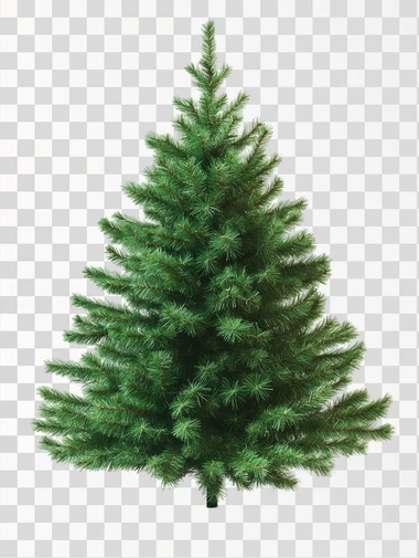 cast green Christmas tree, isolated on white background, rea