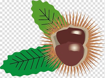 Castanea crenata Naver Blog Autumn Daum, eternal transparent background PNG clipart