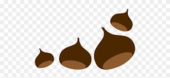 Castanha Outono Png