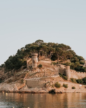 Castle and Trees on Hill