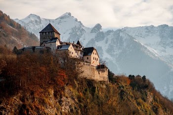castle on mountain surrounded by trees