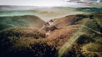 castle surrounded by greenery