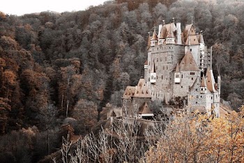 castle surrounded by trees on mountain