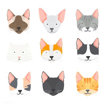 Cat american curl animal | Free stock vector - 60399