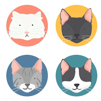 Cat american curl animal | Free stock vector - 60713