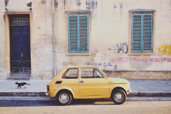 Cat and car.