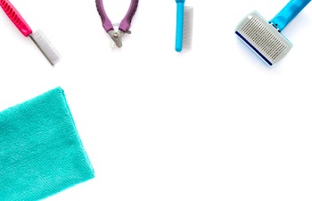 Cat and dog grooming tools: fine toothed comb, wide toothed comb, slicker brush, small nail clipper and a microfiber towel isolated on white background.