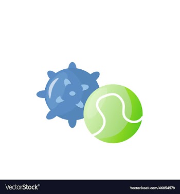 cat and dog toys