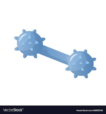 cat and dog toys blue balls for pets