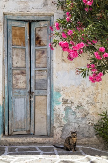 Cat and Old doors, Paros, Cyclades Islands, Aegean Sea, Greece