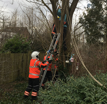 Cat and Woman Get Stuck in Tree Rescued by Firefighters | PEOPLE.com