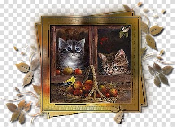Cat Autumn, Cat transparent background PNG clipart