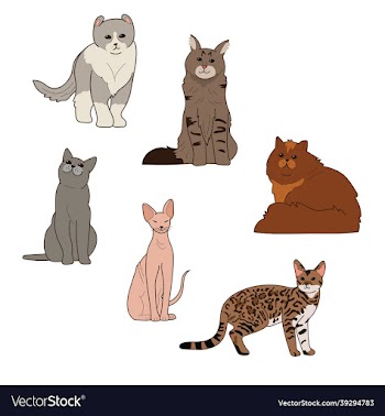 cat breeds