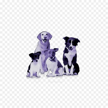 Cat Bulldog Dog Food Pet Bowl -  
