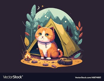 cat camping