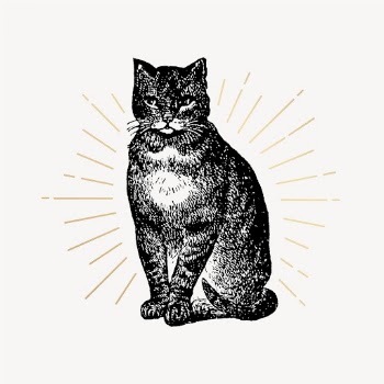 Cat clipart, vintage pet drawing | Free Vector Illustration - rawpixel