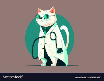 cat doctor