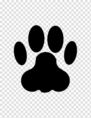 Cat Dog Animal track Paw , Cat transparent background PNG clipart